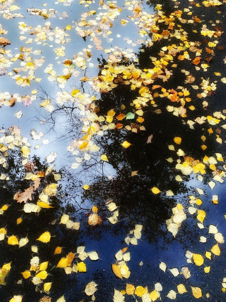 Photograph by Александр Максимов