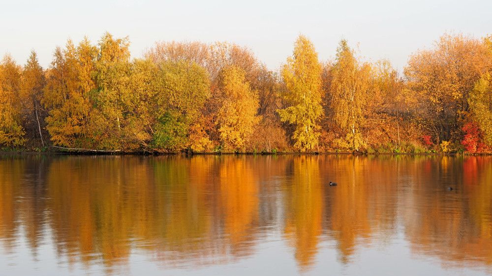 colorful dramatic sky with cloud at sunset