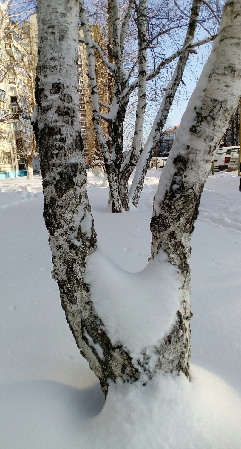 Photo #6938967