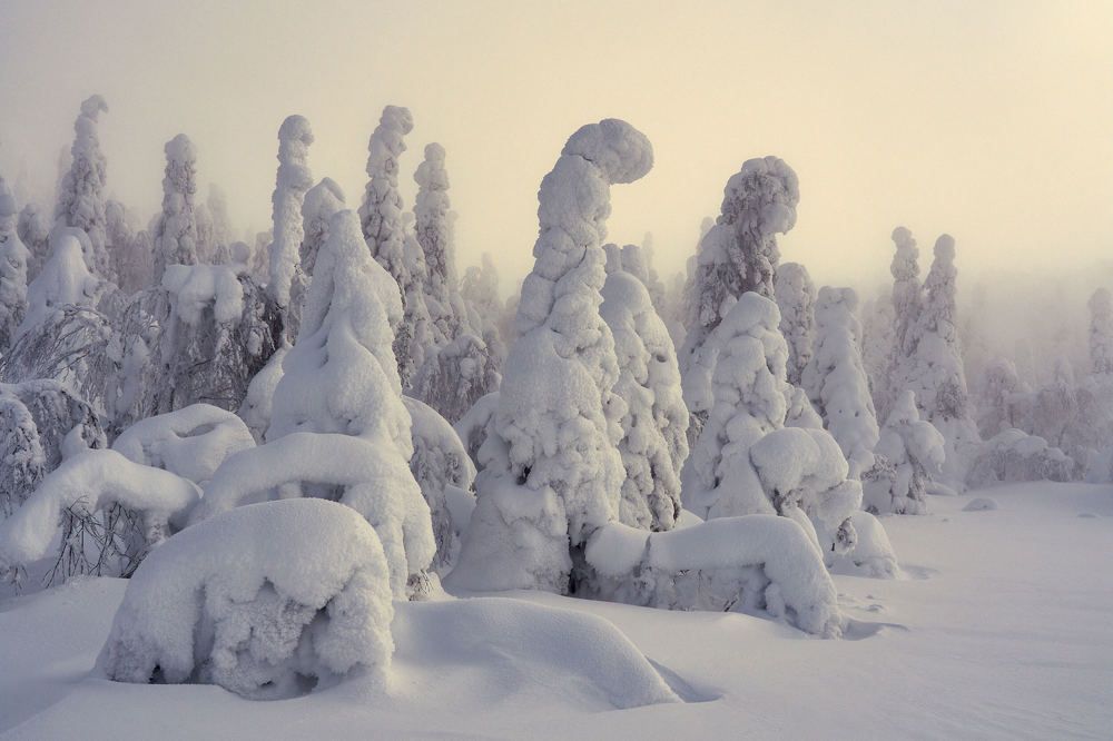 Photograph by Александр Авдушев