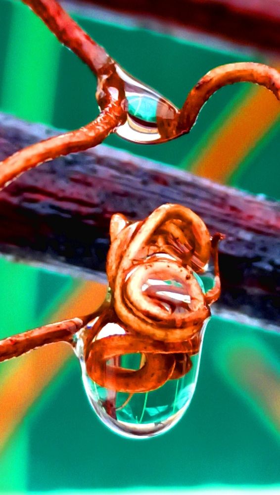 Photograph by Наталия Крайник