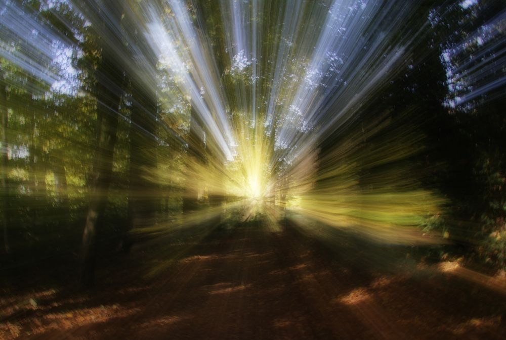 Photograph by Gabriella Szabo