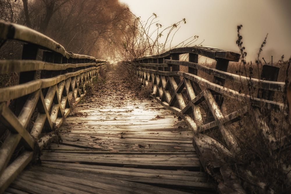 Photograph by Małgorzata