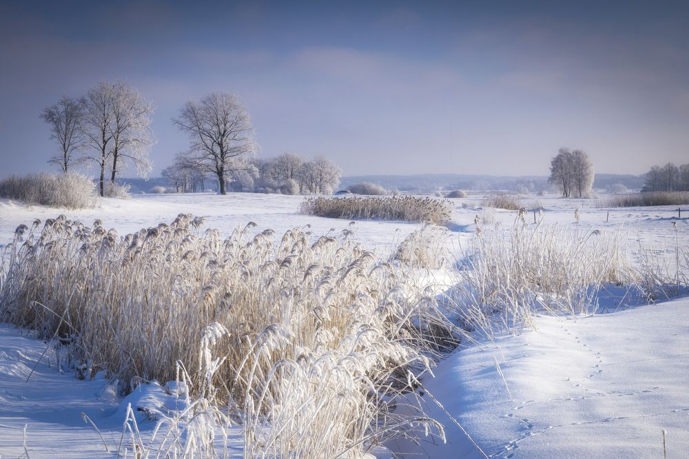 Photograph by Małgorzata