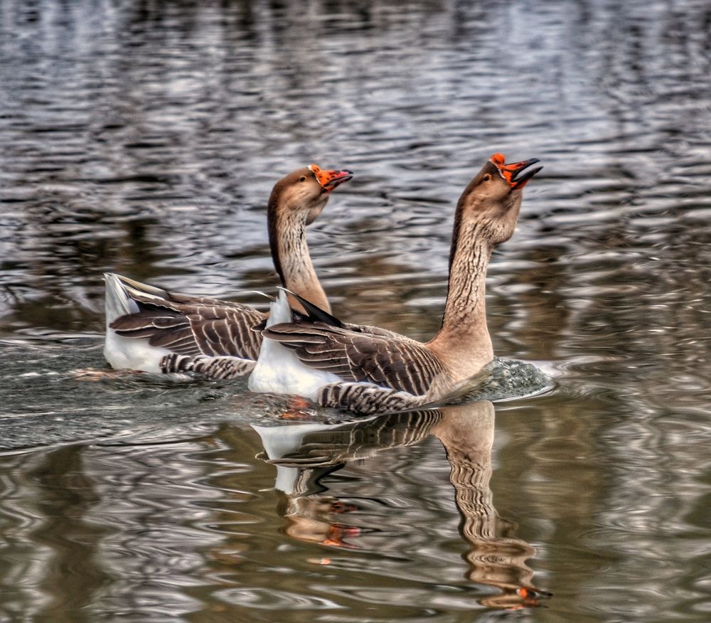 Photograph by Сергей Симаков