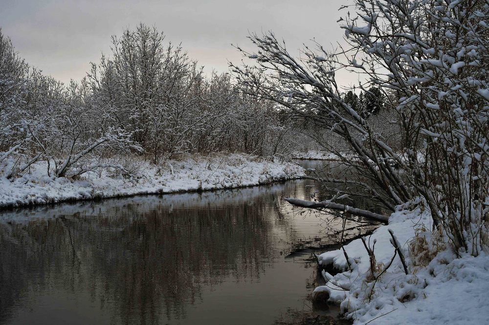 Photograph by Игорь Шабалин