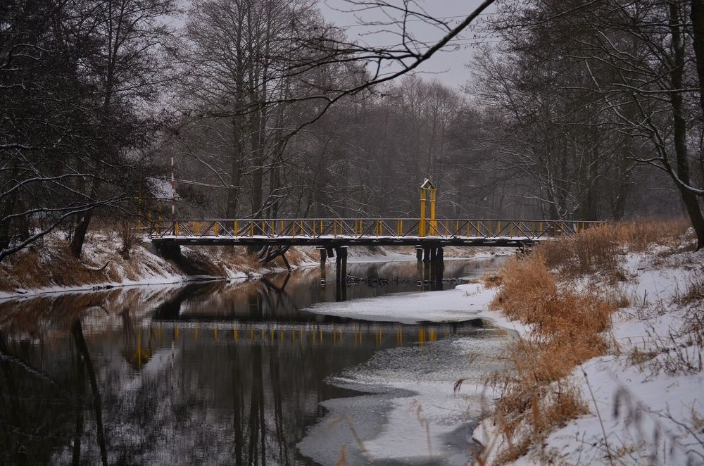 Photograph by Сергей Симаков