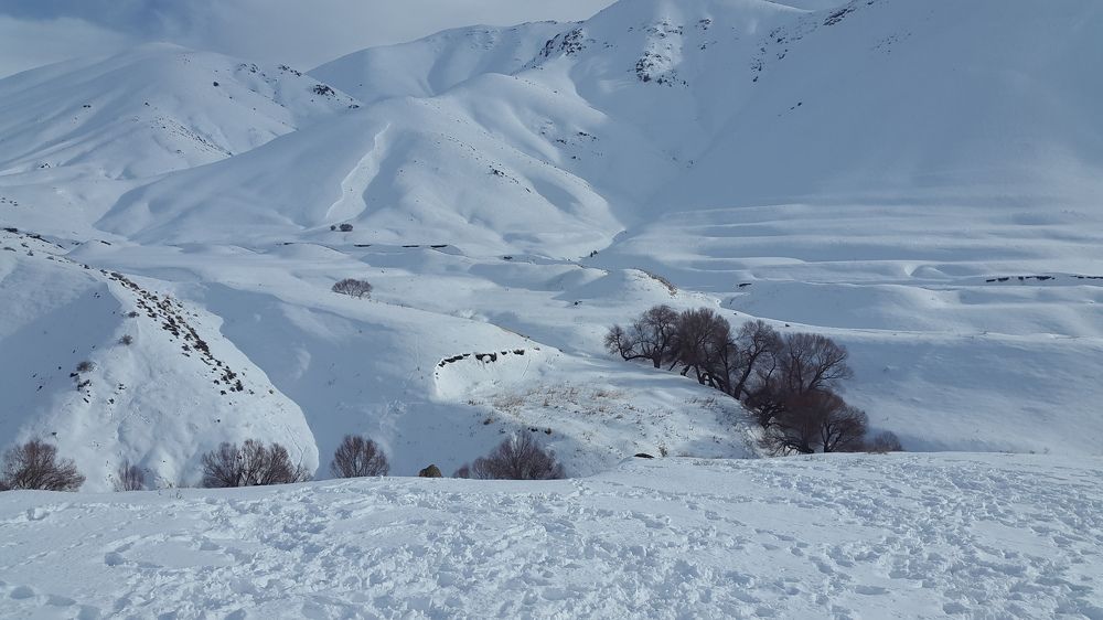 Photograph by Maryam Motlagh