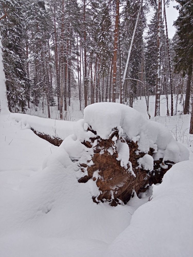 Photo #6939137