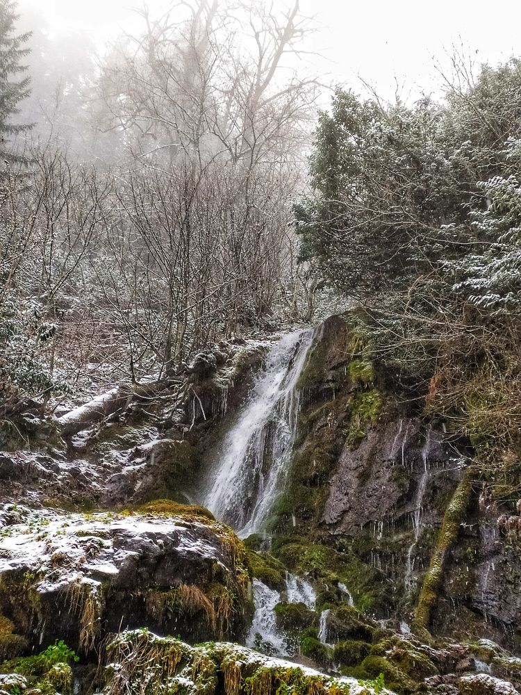 Photograph by Любовь Сухова