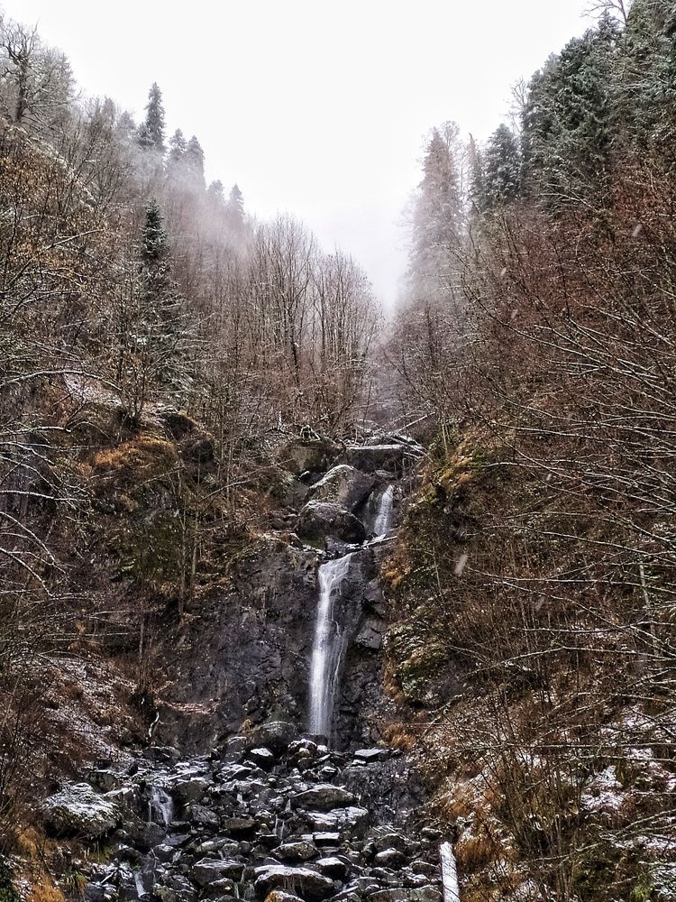 Photograph by Любовь Сухова