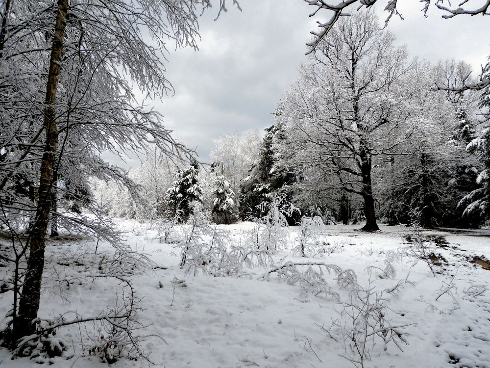Photograph by Іван Березовський