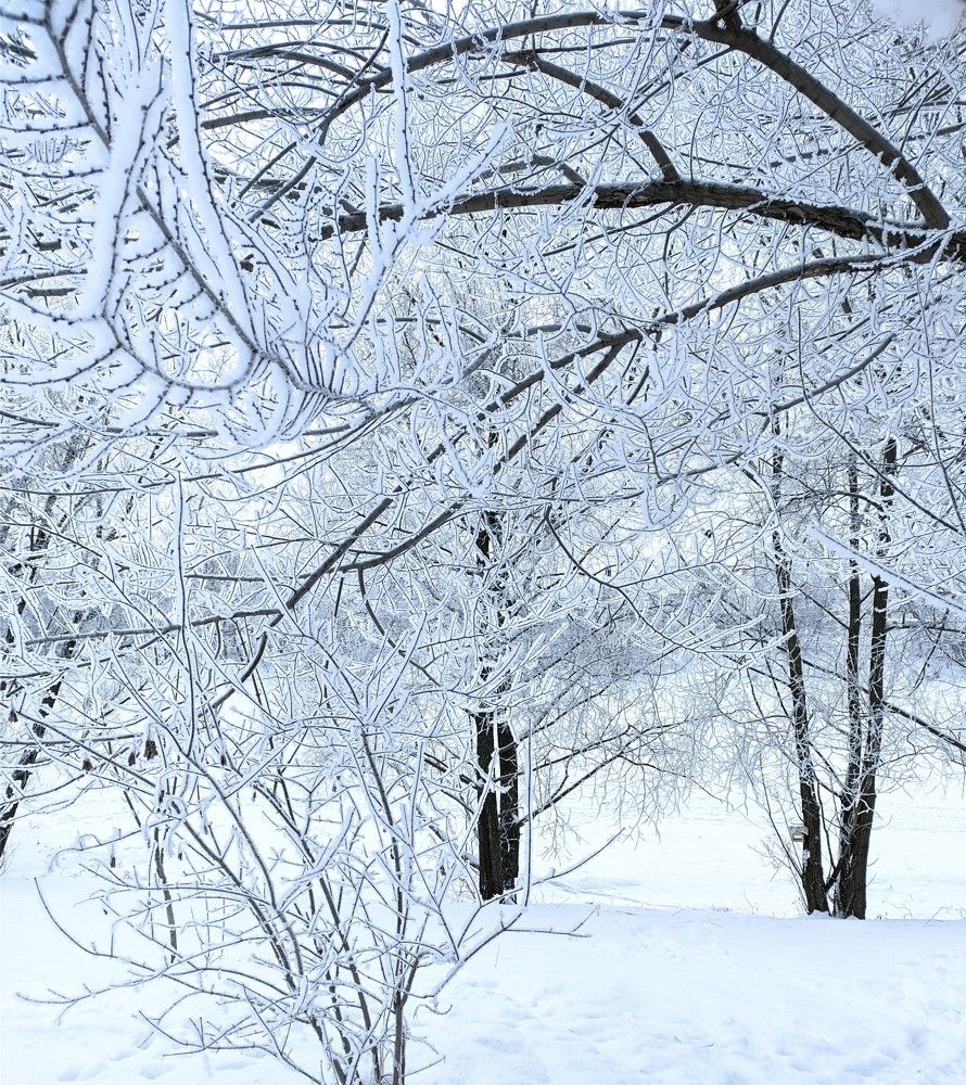 Photograph by Наталия