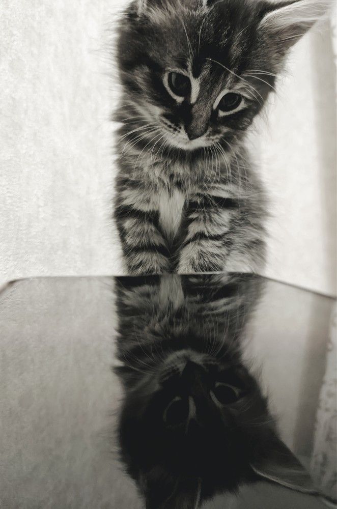 Photograph by Наталия