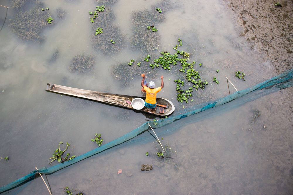 Photograph by muhaiminul hasan