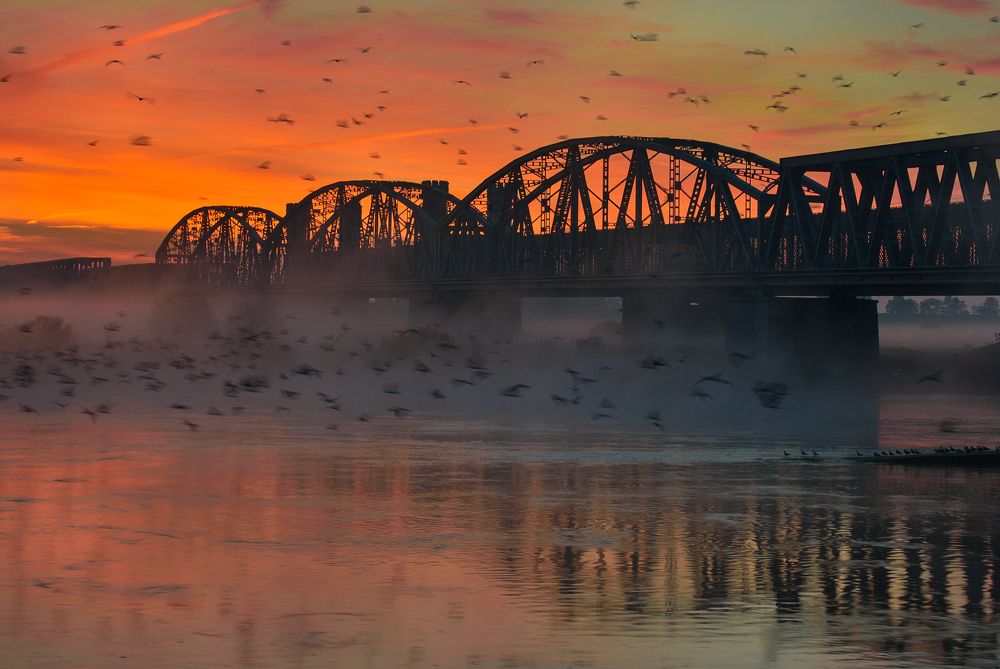 Photograph by Roman Hudzik