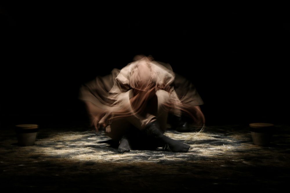 Фотография автора Seyede Elahe GHasemi