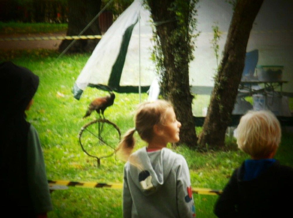 Photograph by Irina Mihailovskaya