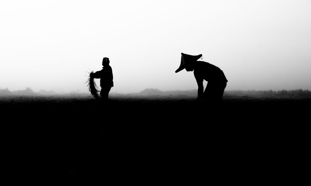 Photograph by muhaiminul hasan