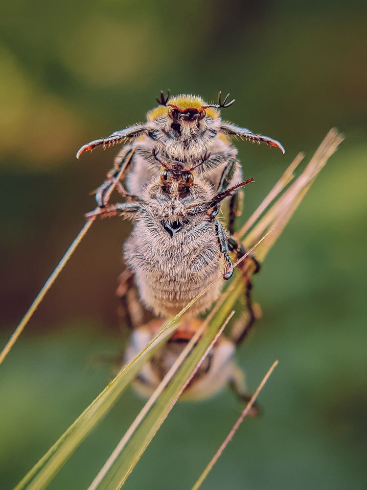 Photograph by Сергей Колос