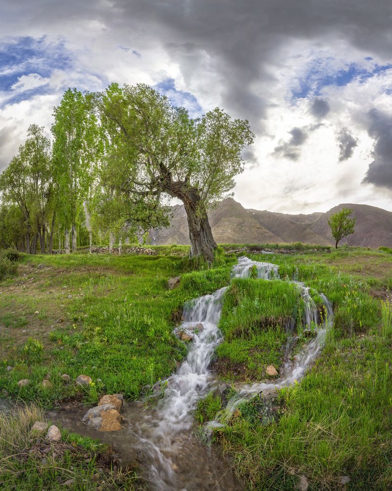 Фотография автора majid arab