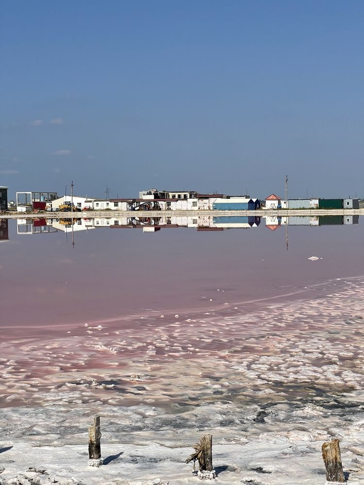 Photograph by Виктория Сметанина