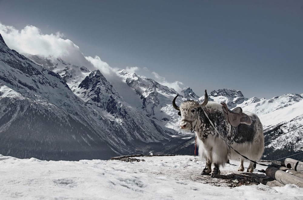 Photograph by Константин Мишнаевский