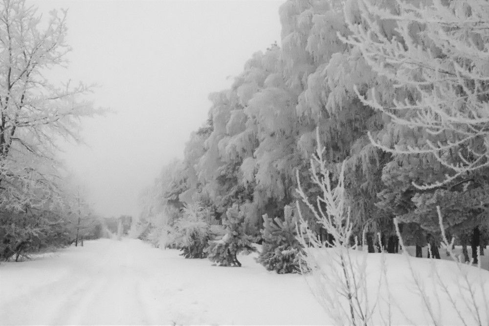 Photograph by Родосская Нонна