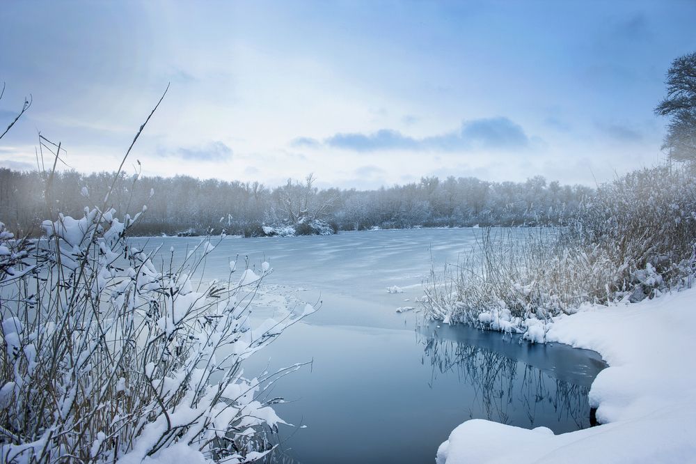 Photograph by Нелли Золотая