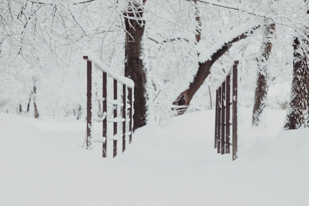 Photograph by Алёна Бондаренко