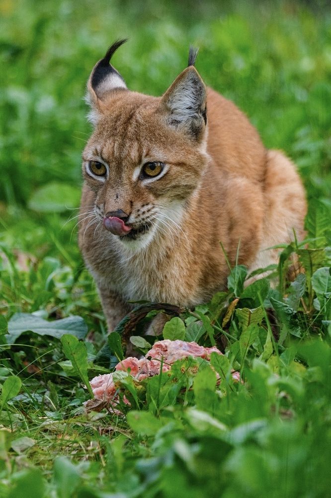 Photograph by Алексей Большаков