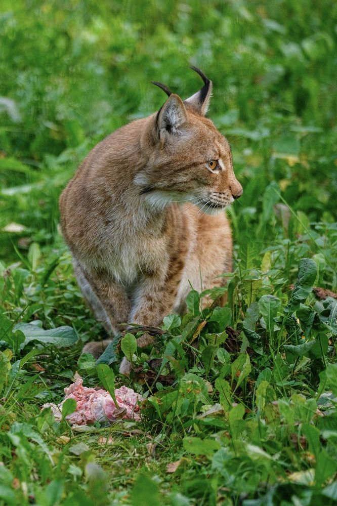 Photograph by Алексей Большаков