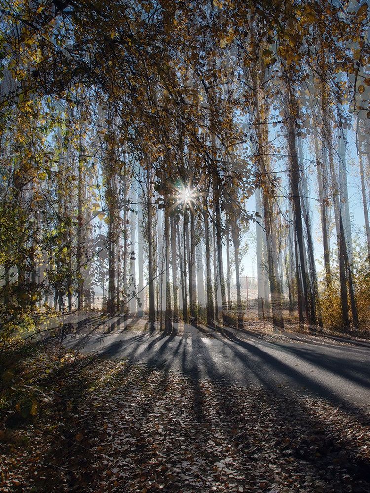 Photograph by Farid Ataei