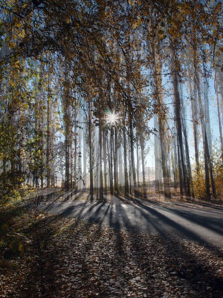 Photograph by Farid Ataei