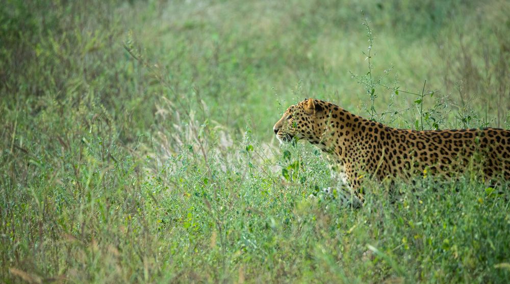 Photograph by Shivendra Singh