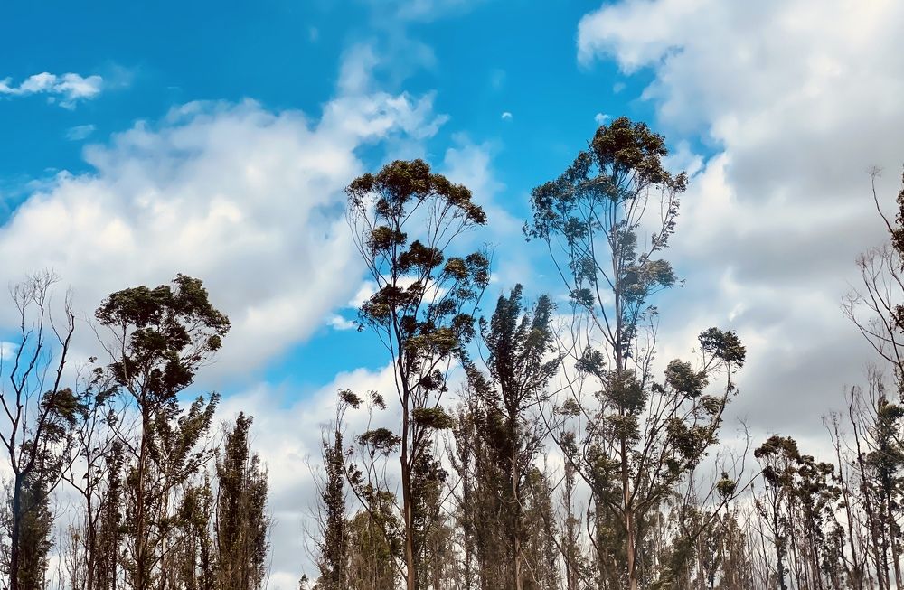 Photograph by Kristen Cusumano