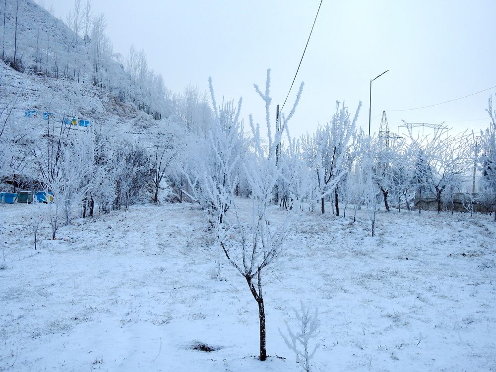 Photograph by Рустамбек Ахмадзода