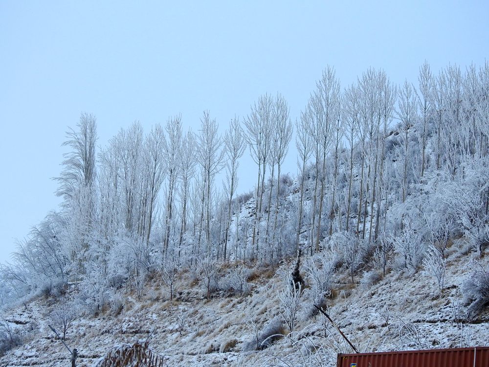 Photograph by Рустамбек Ахмадзода