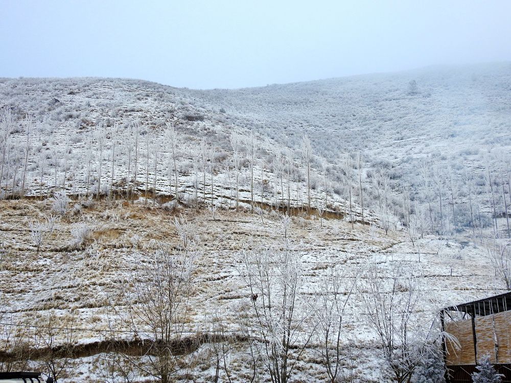 Photograph by Рустамбек Ахмадзода