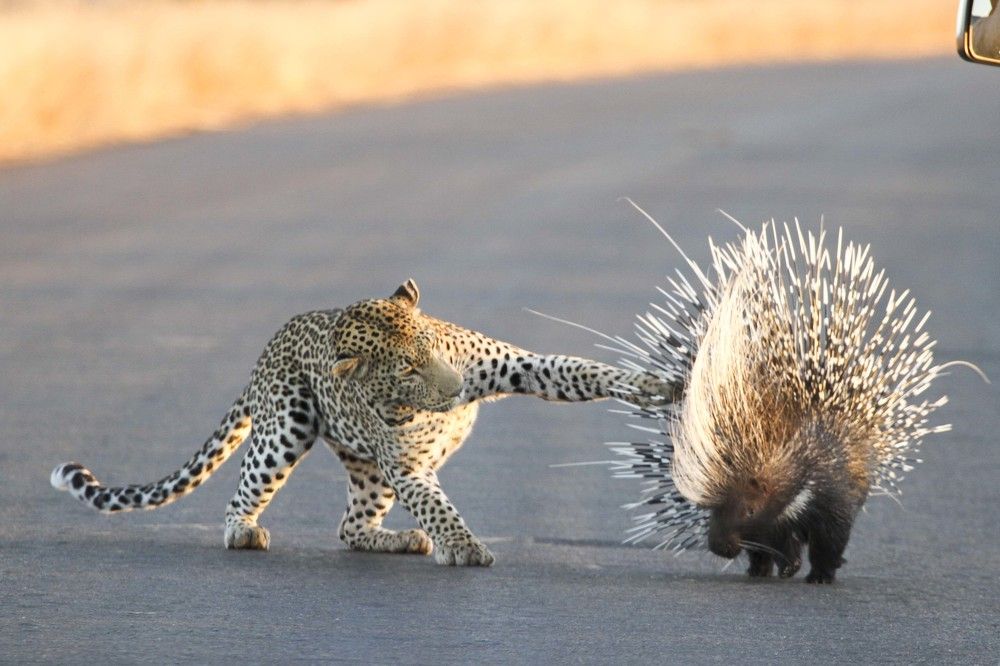 Photograph by Mariette Landman