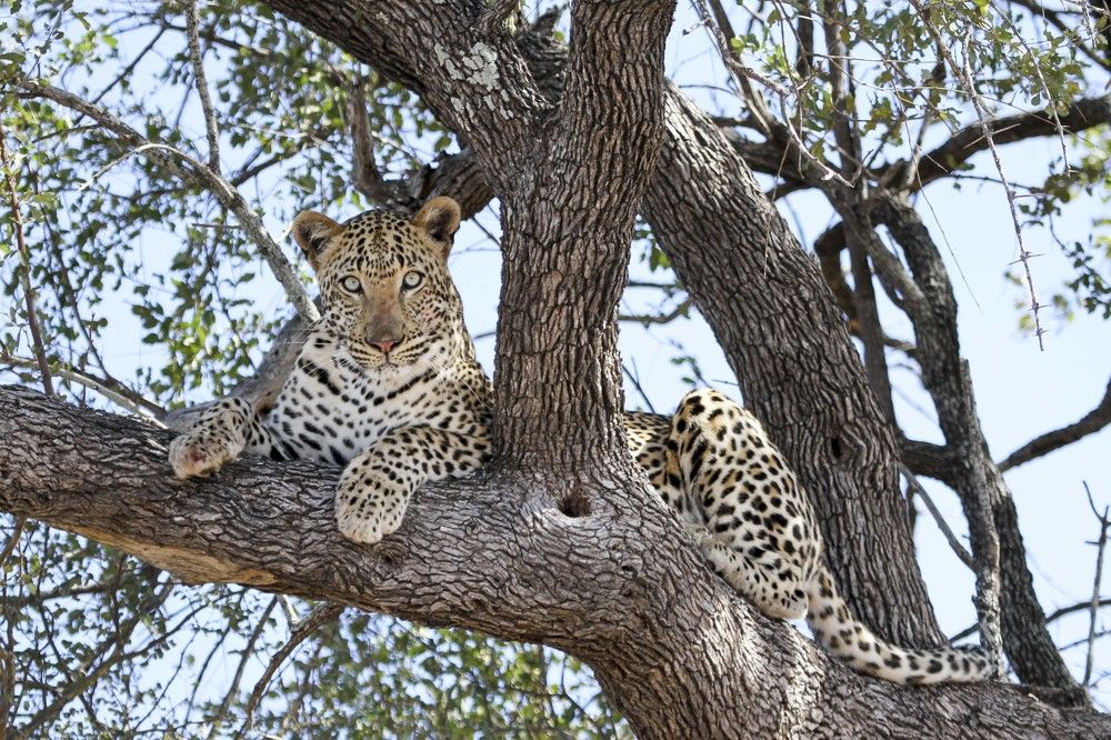 Photograph by Mariette Landman