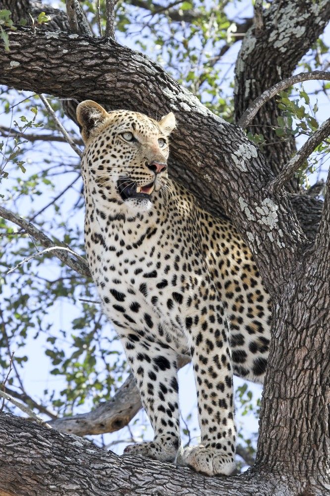 Photograph by Mariette Landman