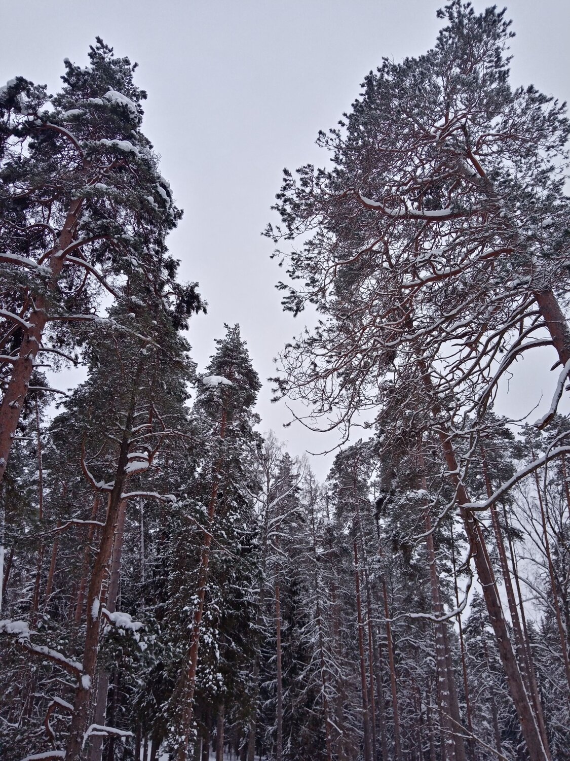 Photo #6939789