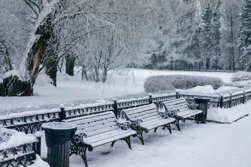 Фотография автора Марина