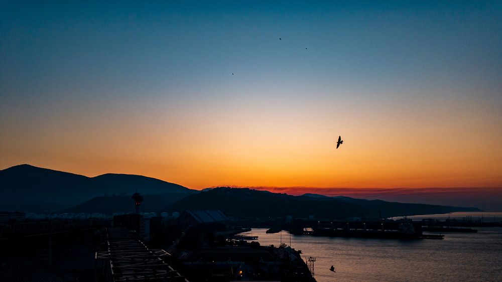 Photograph by Виталий Шкадинов