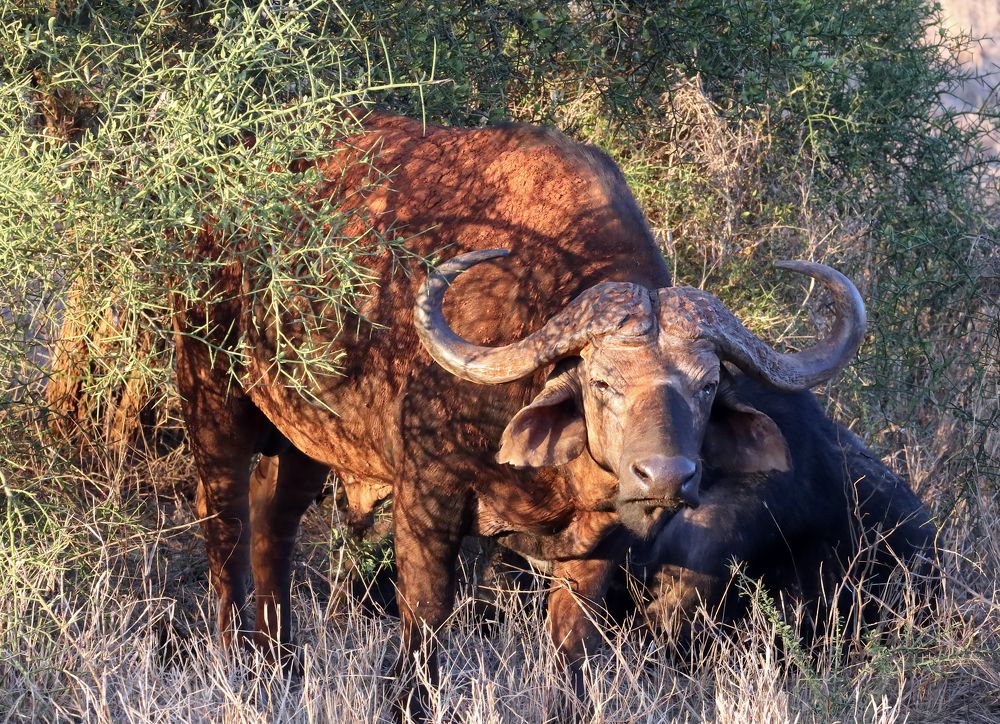 Photograph by Елена Врублевская