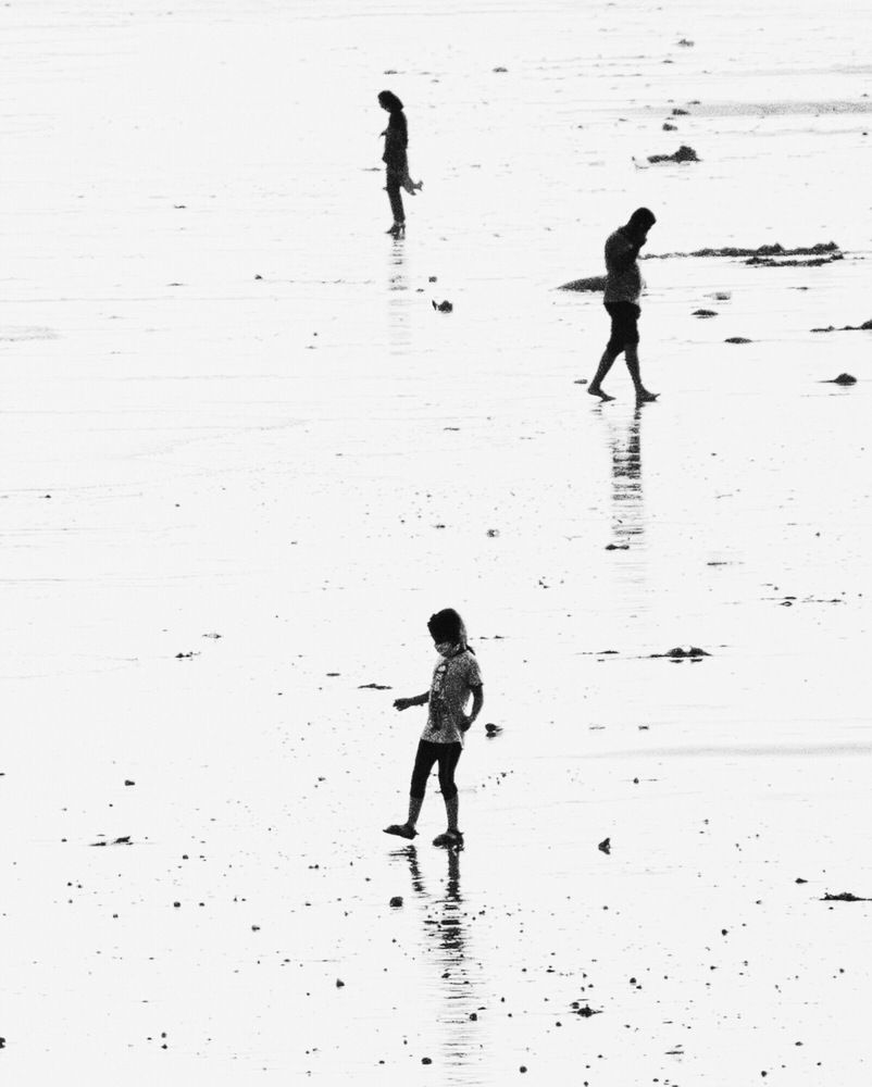 Фотография автора Alireza Bagheri sani