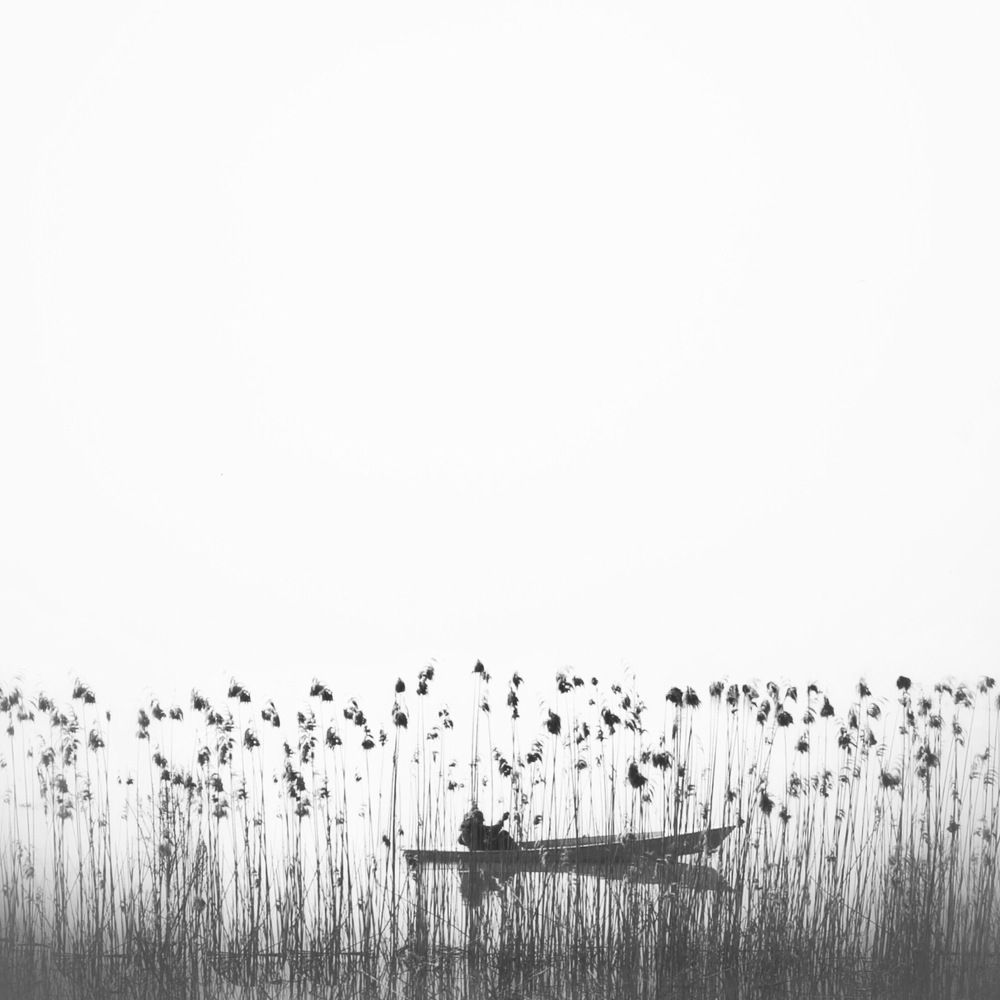 Фотография автора Alireza Bagheri sani