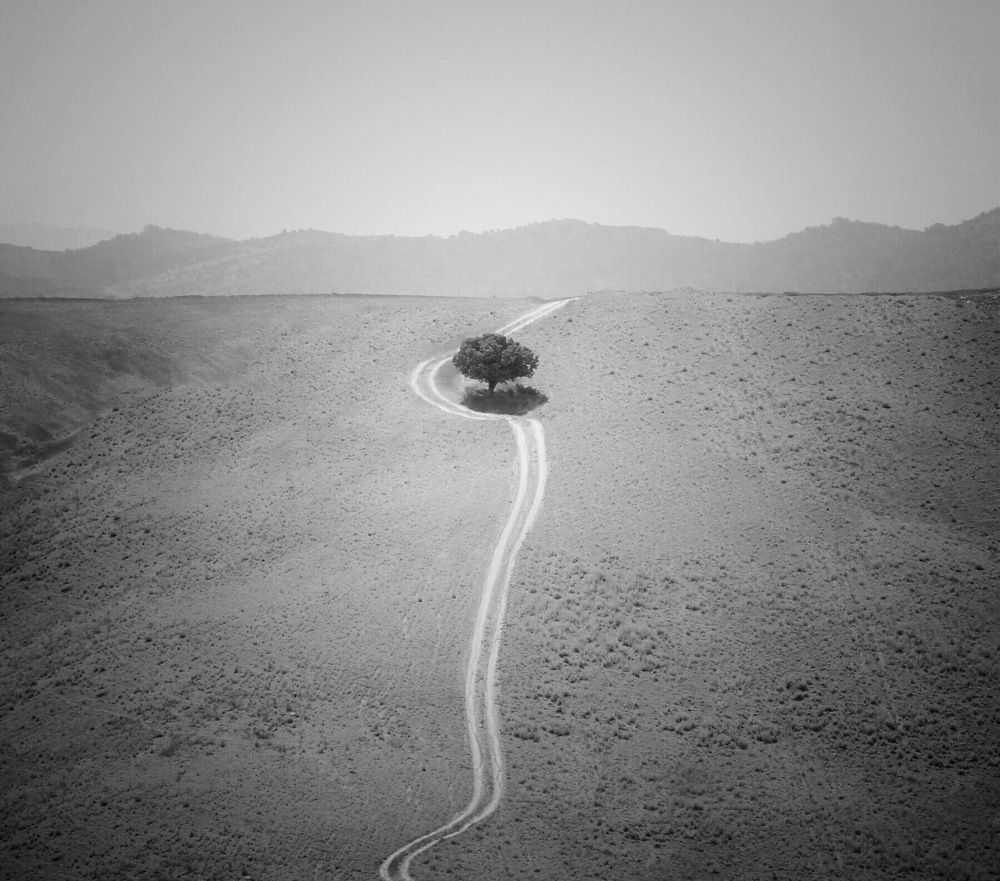 Фотография автора Alireza Bagheri sani