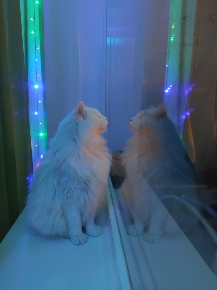 Photograph by Pavel Milovankin